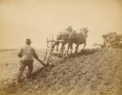 A Stiff Pull by Peter Henry Emerson